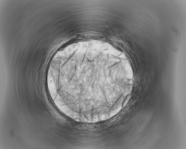 X0000111360049200908211305