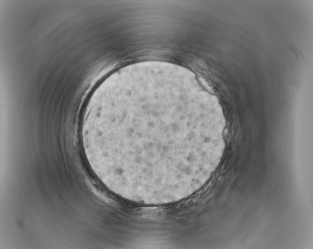 X0000111360050200908211305