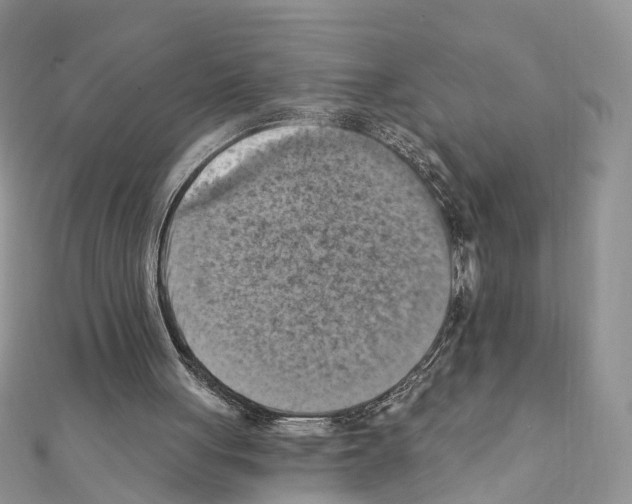 X0000111360051200908211305