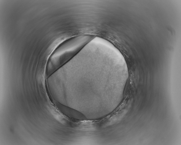 X0000111360052200908211305
