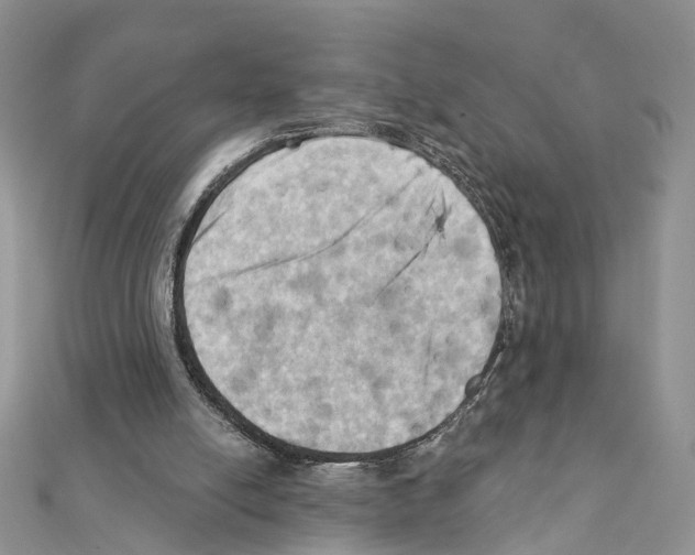 X0000111360054200908211305