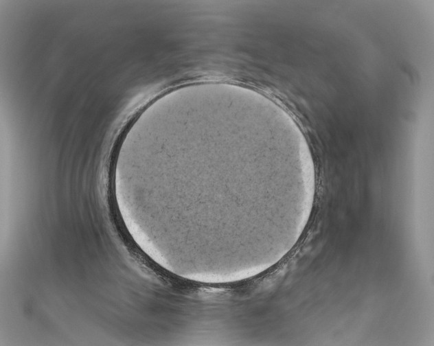 X0000111360055200908211305