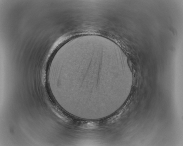 X0000111360056200908211305