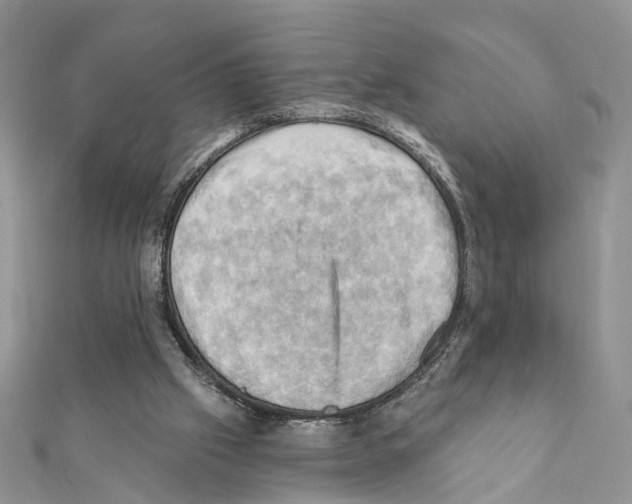 X0000111360057200908211305