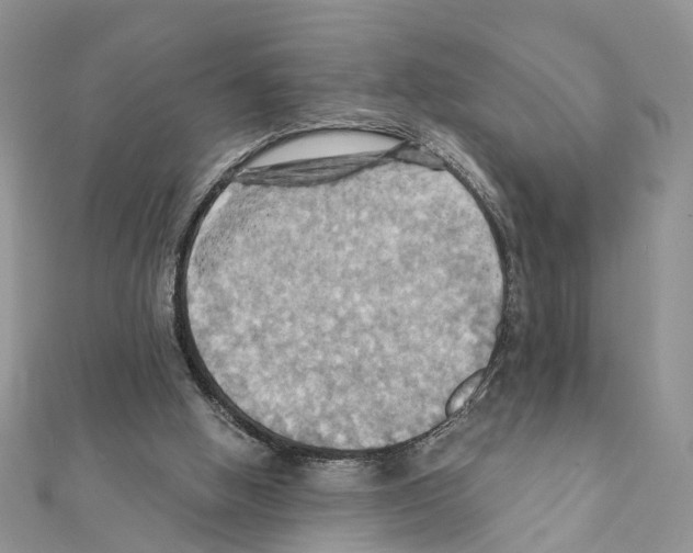 X0000111360058200908211305
