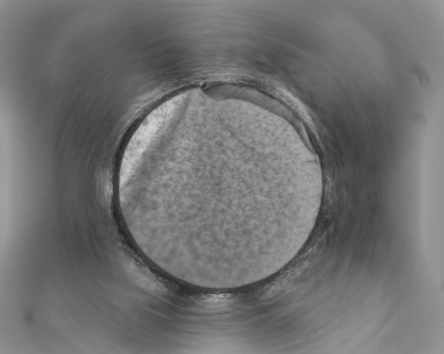 X0000111360059200908211305