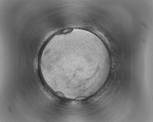 X0000111360060200908211305