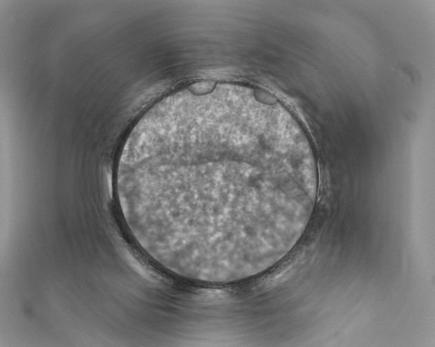 X0000111360061200908211305