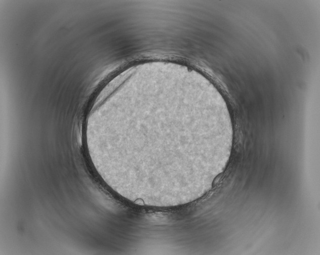 X0000111360062200908211305