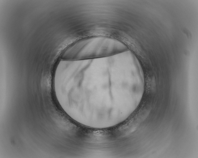 X0000111360064200908211305