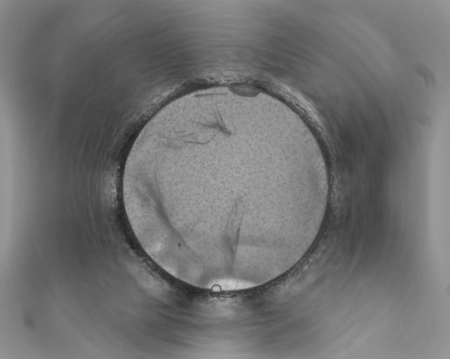 X0000111360065200908211305