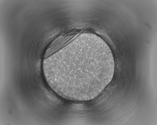 X0000111360066200908211305