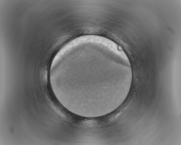 X0000111360067200908211305