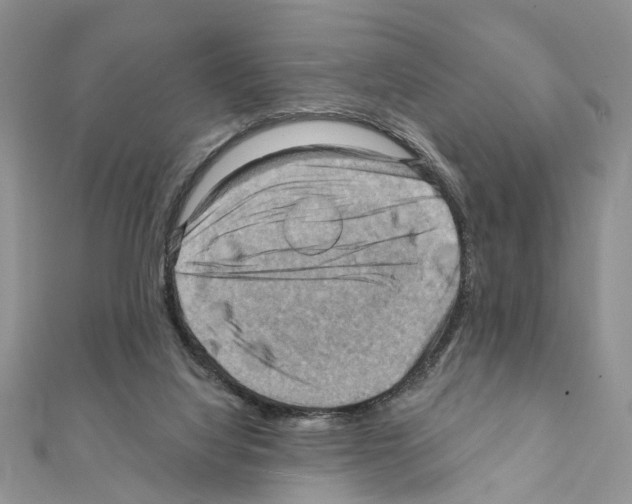 X0000111360068200908211305