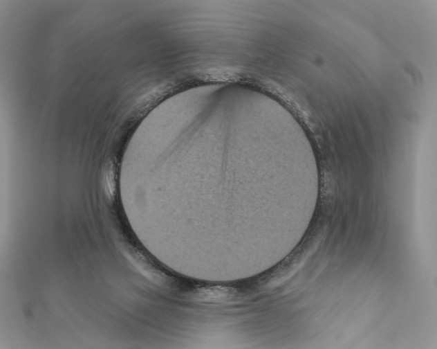 X0000111360069200908211305