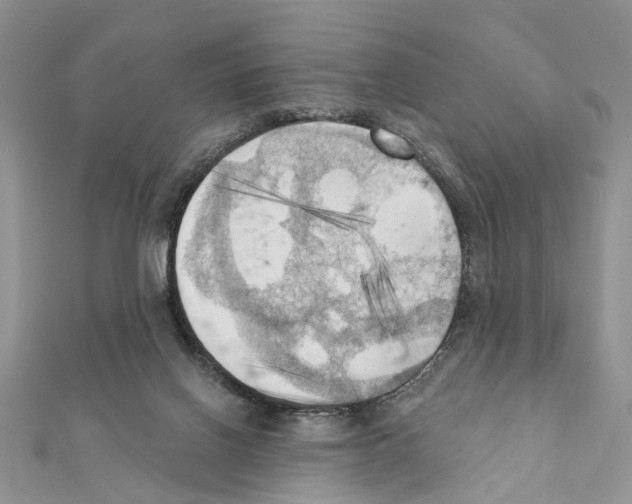 X0000111360070200908211305