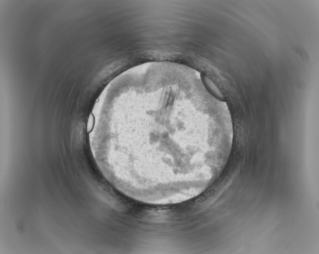 X0000111360071200908211305
