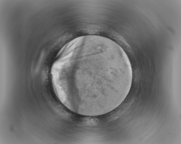 X0000111360073200908211305