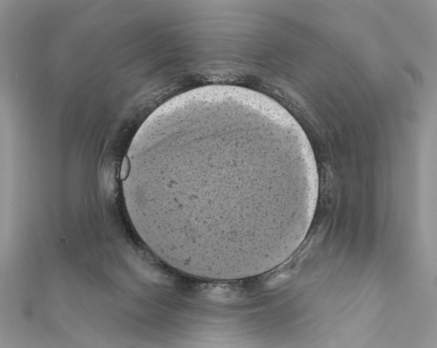 X0000111360074200908211305