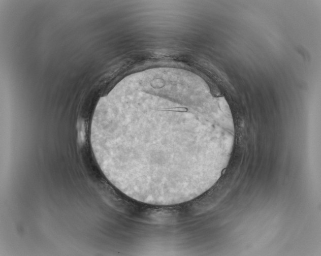 X0000111360075200908211305