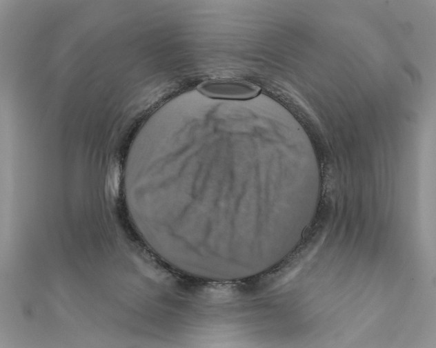 X0000111360076200908211305