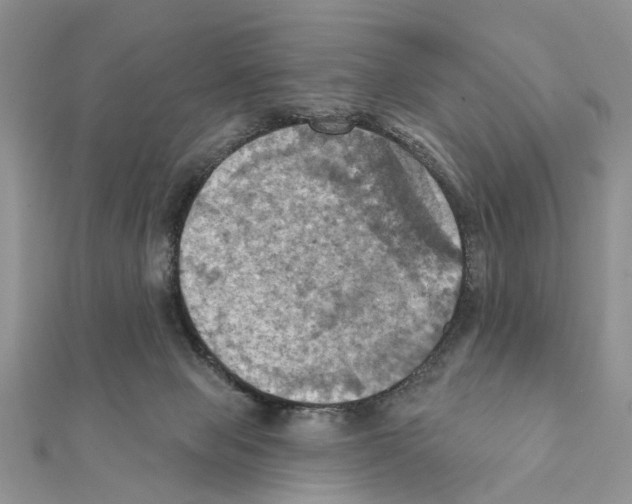 X0000111360077200908211305