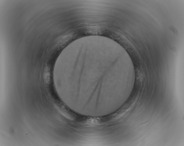 X0000111360080200908211305