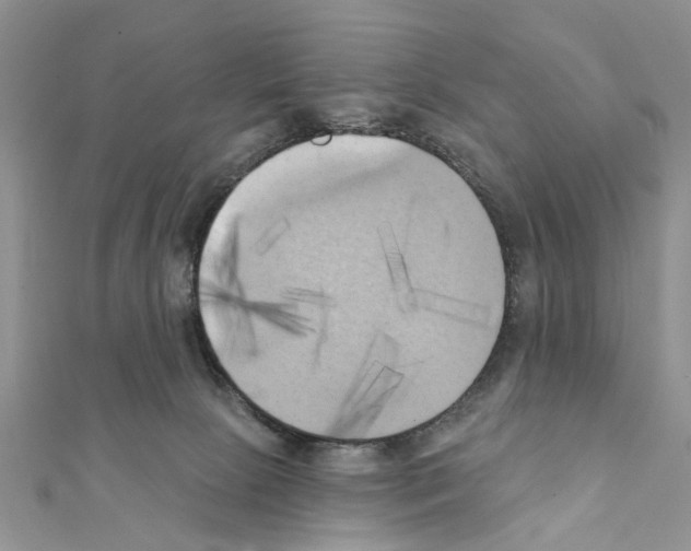 X0000111360081200908211305