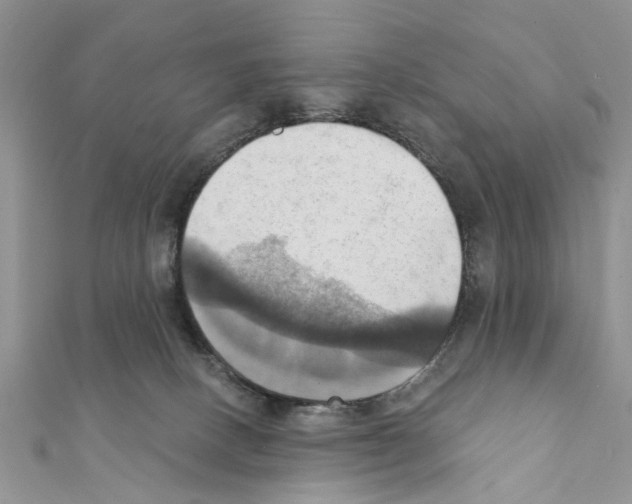 X0000111360082200908211306