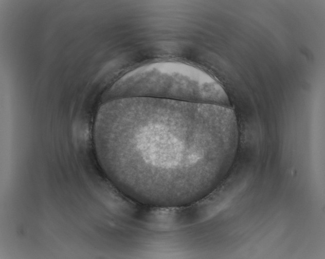 X0000111360084200908211306
