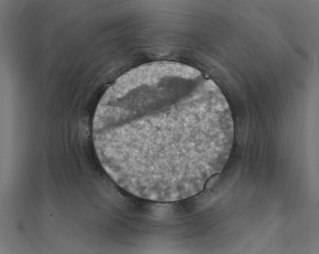 X0000111360085200908211306