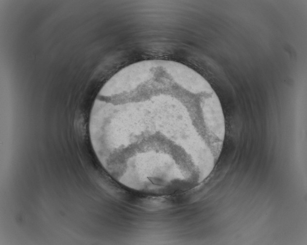 X0000111360086200908211306
