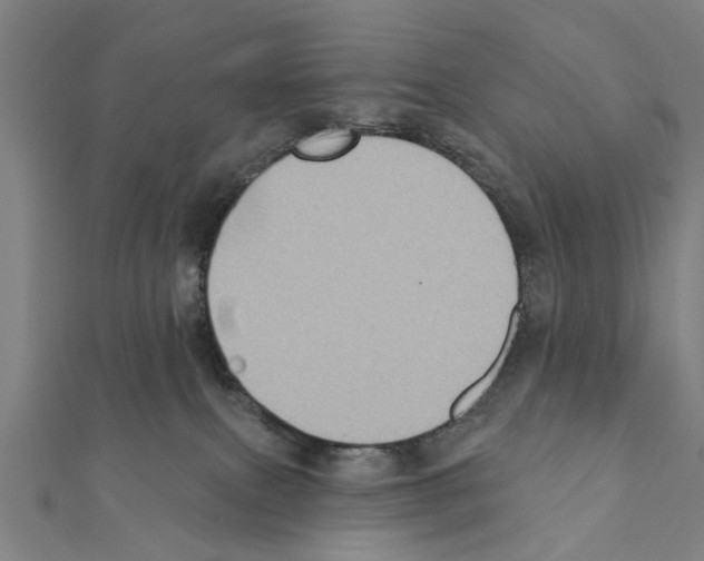 X0000111360087200908211306