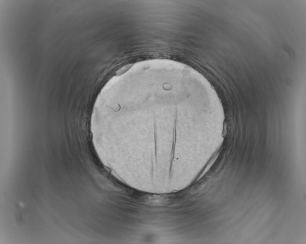 X0000111360088200908211306