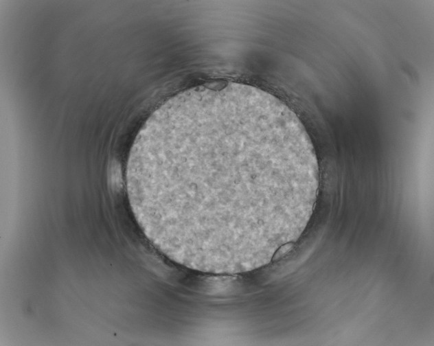 X0000111360089200908211306