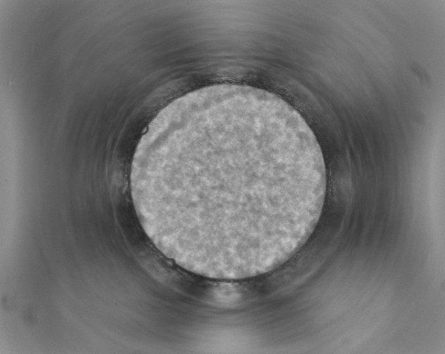 X0000111360091200908211306