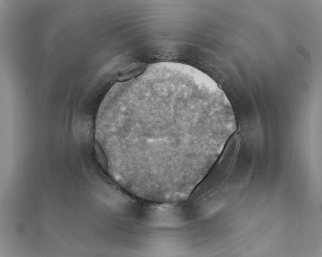 X0000111360092200908211306