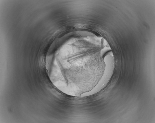 X0000111360093200908211306