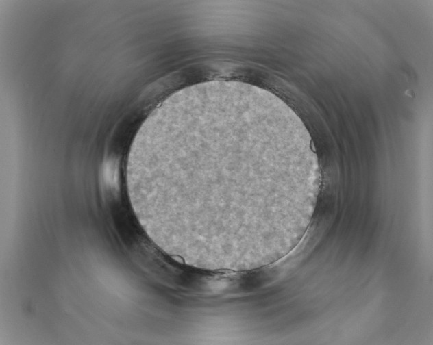 X0000111360094200908211306