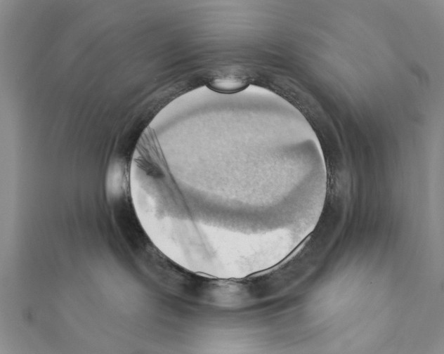 X0000111360095200908211306