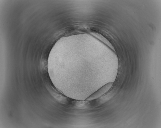 X0000111360096200908211306