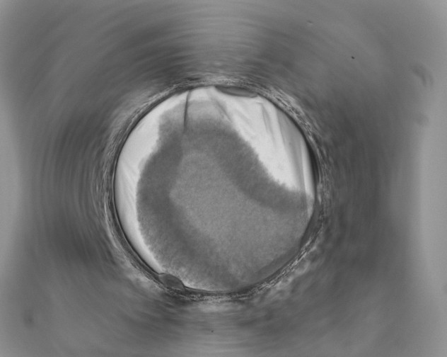X0000111360097200908211305