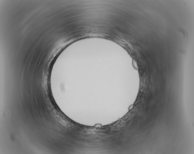 X0000111360098200908211305