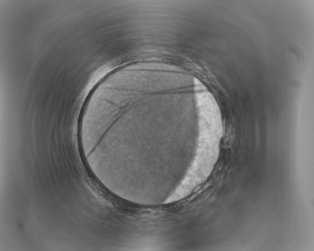 X0000111360099200908211305