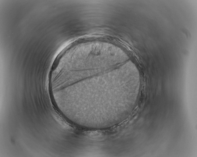 X0000111360100200908211305