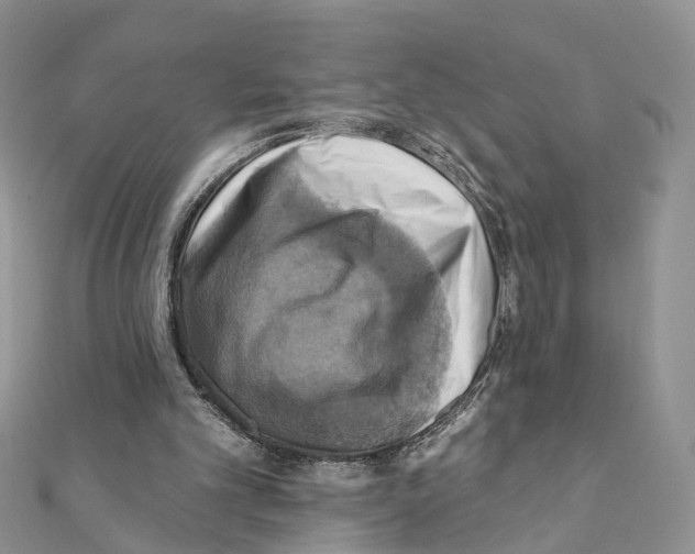 X0000111360101200908211305
