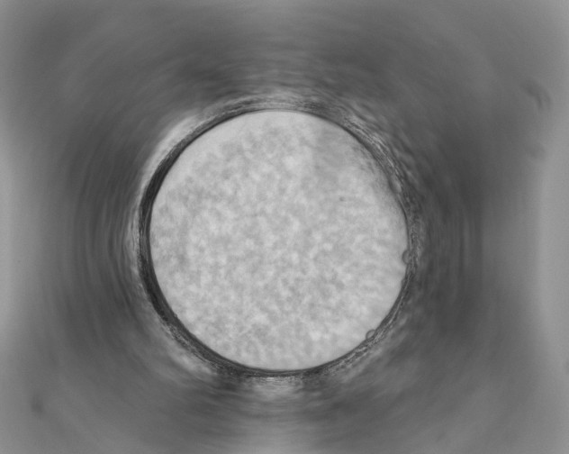 X0000111360102200908211305