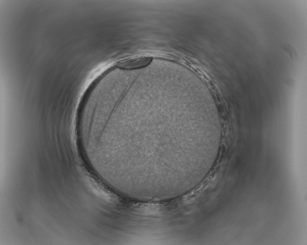 X0000111360104200908211305