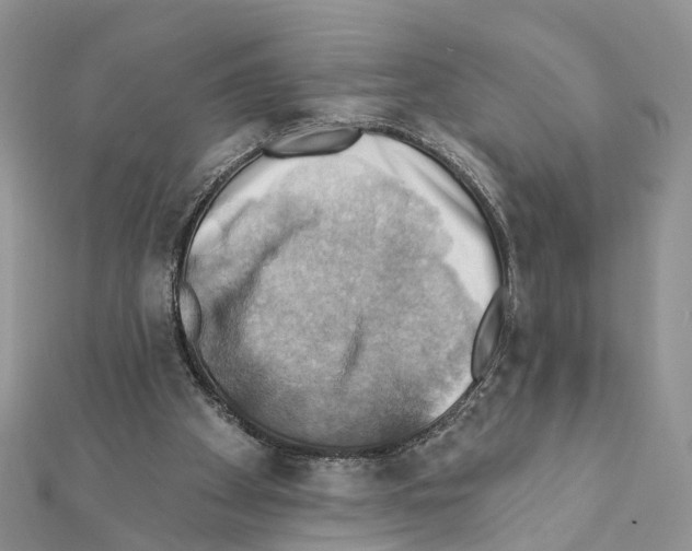 X0000111360105200908211305