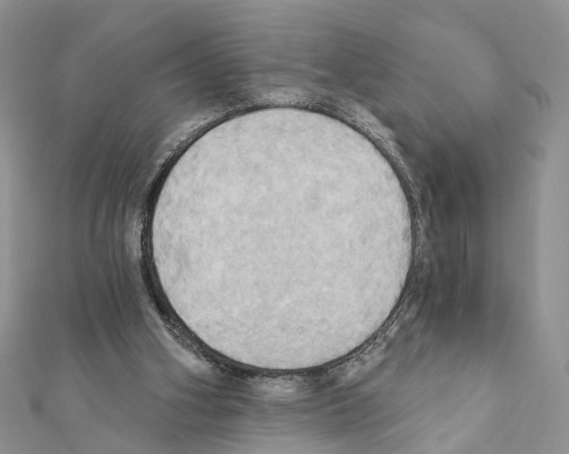 X0000111360106200908211305